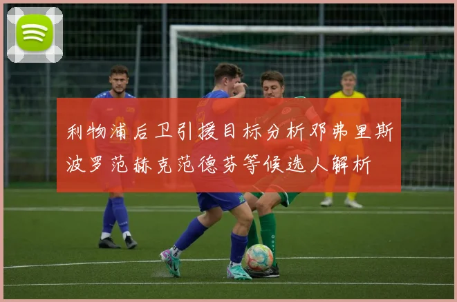 利物浦后卫引援目标分析邓弗里斯波罗范赫克范德芬等候选人解析