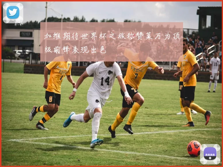 加维期待世界杯之旅称赞莱万为顶级前锋表现出色