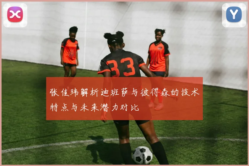 张佳玮解析迪班萨与彼得森的技术特点与未来潜力对比