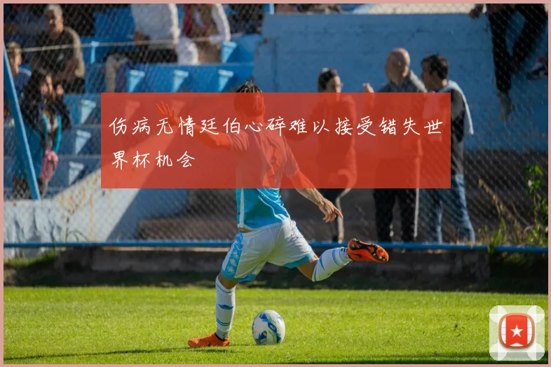 伤病无情廷伯心碎难以接受错失世界杯机会